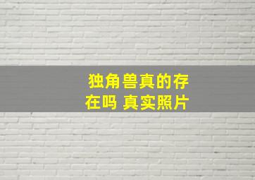 独角兽真的存在吗 真实照片